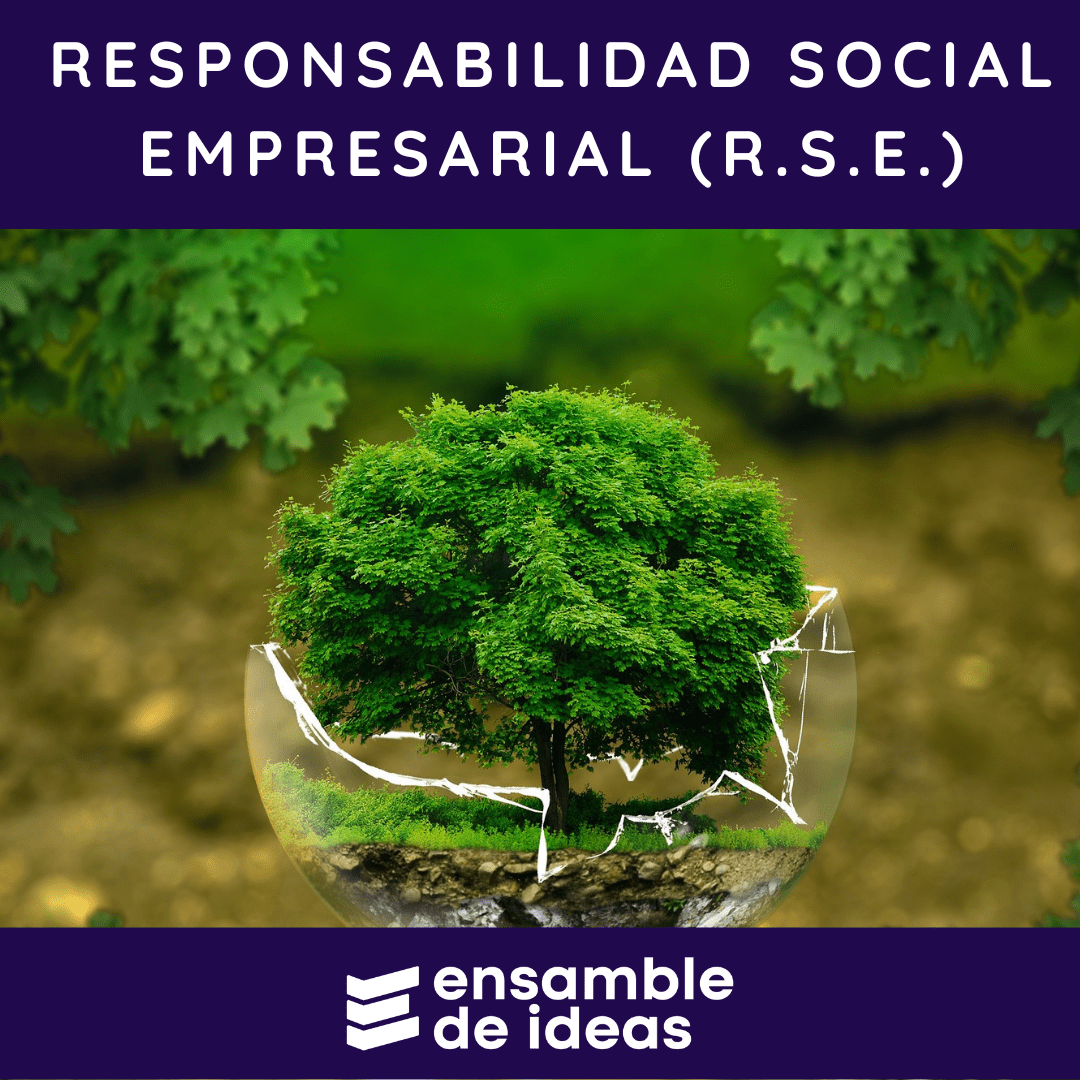 Qu Es La Responsabilidad Social Empresarial Rse Y Sus Principios