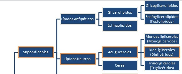 Diacilgliceroles (Diglicéridos)