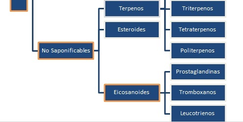 2.3. Eicosanoides