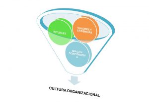 Cultura organizacional de una empresa: valores, creencias, rituales e imagen corporativa. 
los elementos de la cultura organizacional