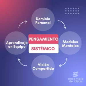 El pensamiento sistémico 