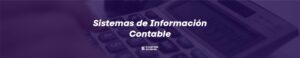 banner sistemas de informacion contable