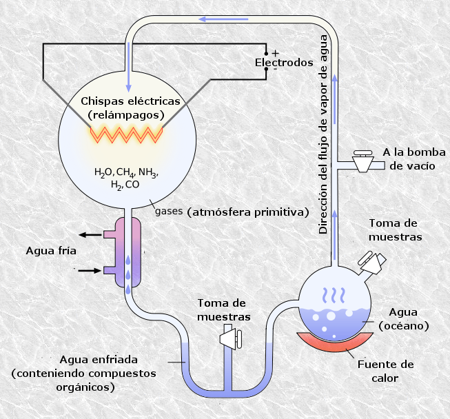 Experimento de Miller y Urey, en base a la teoría de Oparin Y Haldane, para explicar el origen de la vida.