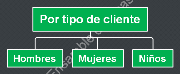 Departamentalización por tipo de cliente
tipos de departamentalización