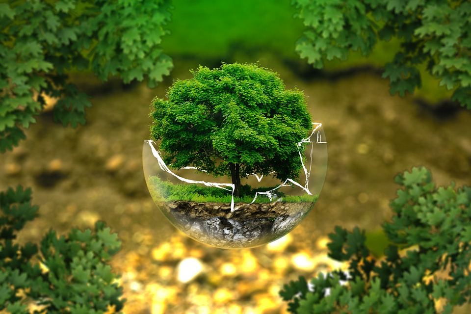 Economía circular y medio ambiente - Las 4R del reciclaje