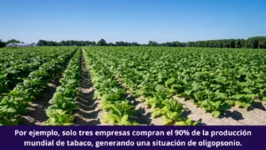 Por ejemplo, solo tres empresas compran el 90% de la producción mundial de tabaco, generando una situación de oligopsonio.