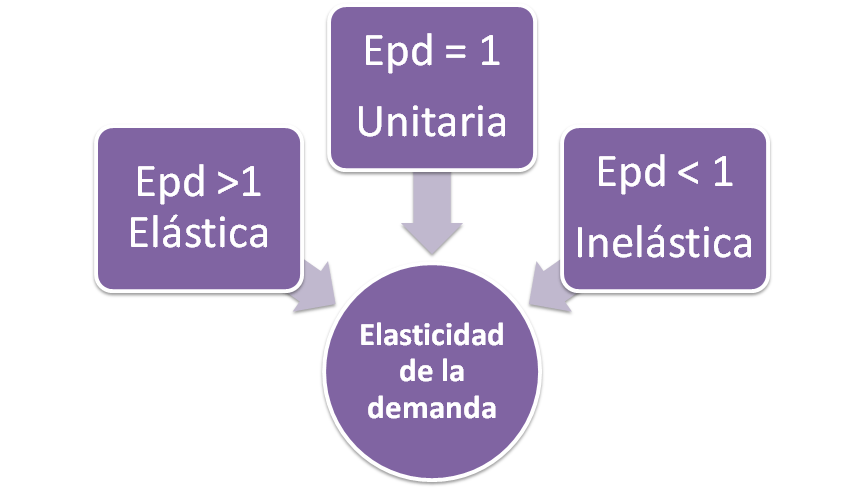 Elasticidad de la demanda - Elasticidad precio - demanda