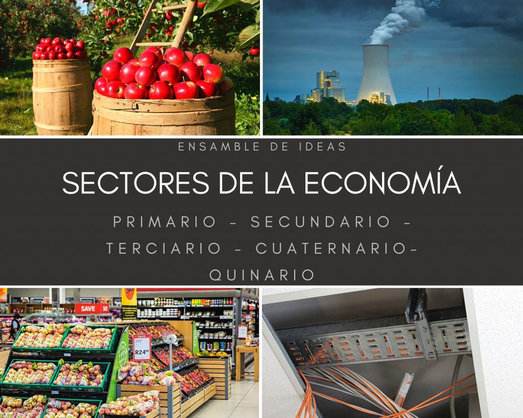 sectores de la economía