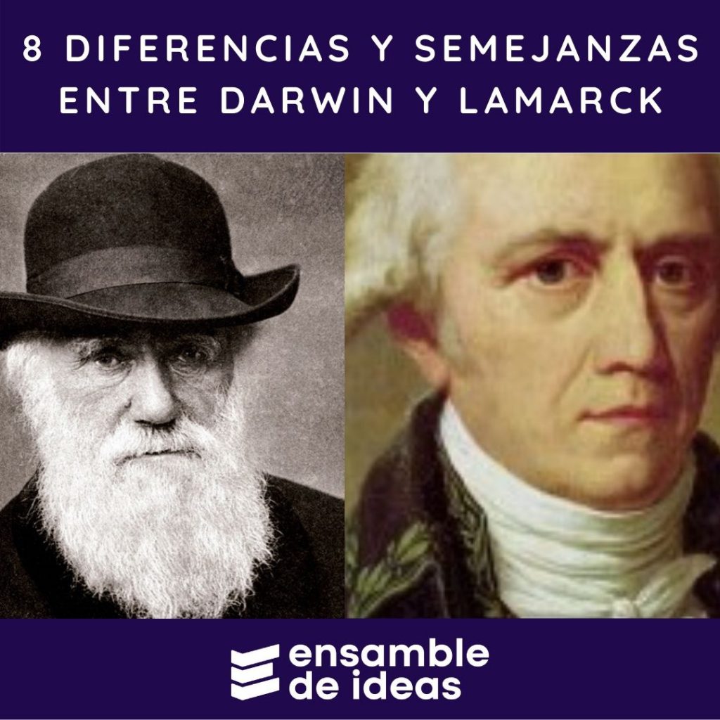 diferencias y semejanzas entre Darwin y Lamarck