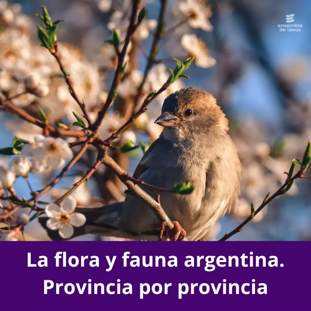 flora y fauna en argentina