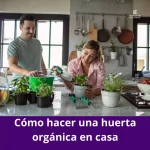 Cómo hacer una huerta orgánica en casa: La importancia de consumir alimentos sin agroquímicos