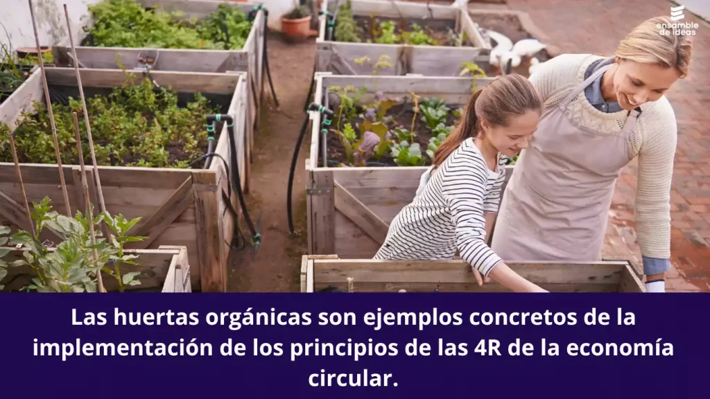 Las huertas orgánicas son ejemplos concretos de la implementación de los principios de las 4R de la economía circular.