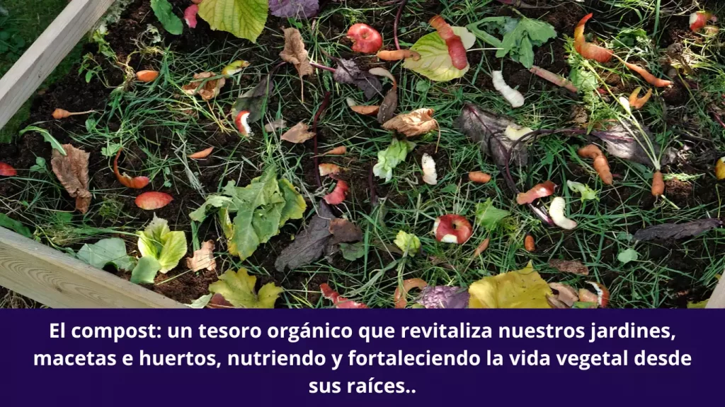 El compost: un tesoro orgánico que revitaliza nuestros jardines, macetas e huertos, nutriendo y fortaleciendo la vida vegetal desde sus raíces.
