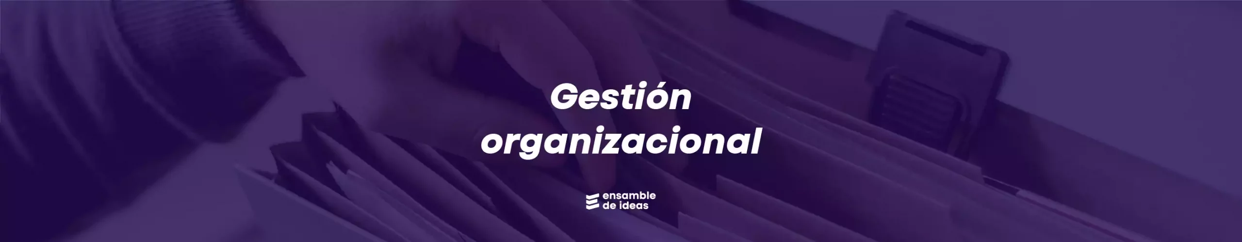 gestion empresarial o gestion de las organizaciones webp